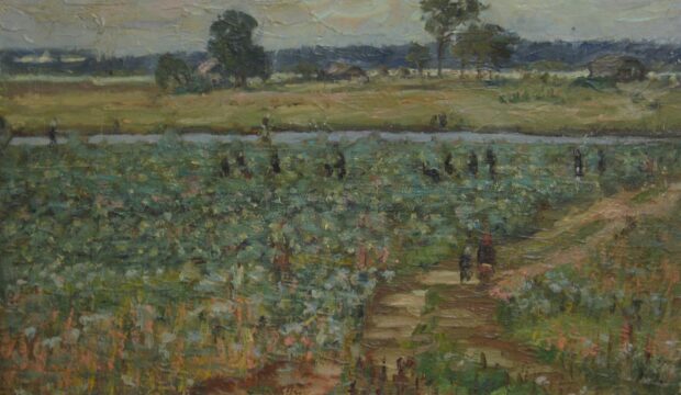 Harvest